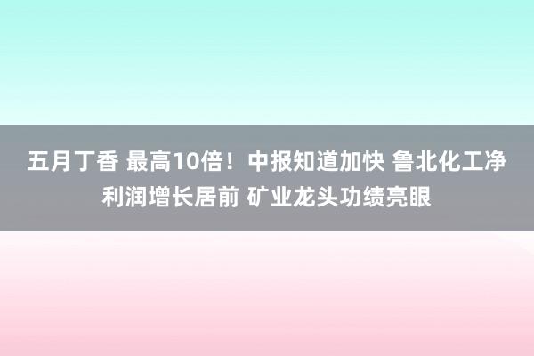   五月丁香 最高10倍！中报知道加快 鲁北化工净利润增长居前 矿业龙头功绩亮眼