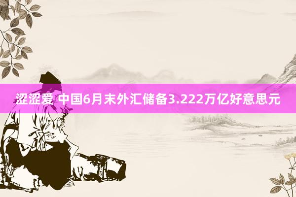   涩涩爱 中国6月末外汇储备3.222万亿好意思元