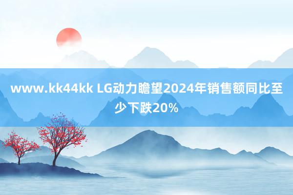 www.kk44kk LG动力瞻望2024年销售额同比至少下跌20%