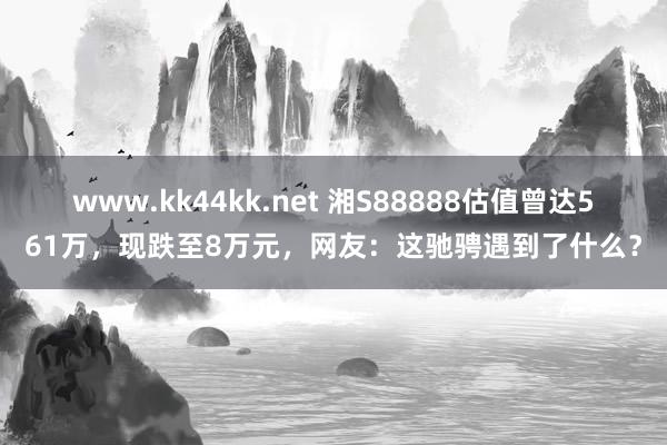   www.kk44kk.net 湘S88888估值曾达561万，现跌至8万元，网友：这驰骋遇到了什么？