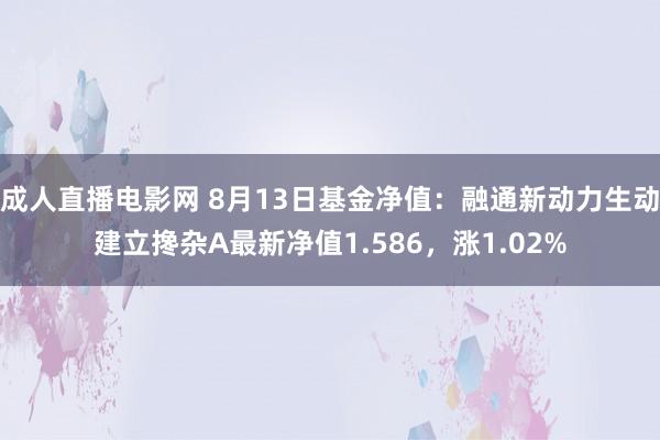   成人直播电影网 8月13日基金净值：融通新动力生动建立搀杂A最新净值1.586，涨1.02%