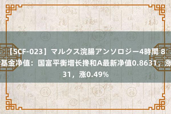   【SCF-023】マルクス浣腸アンソロジー4時間 8月13日基金净值：国富平衡增长搀和A最新净值0.8631，涨0.49%