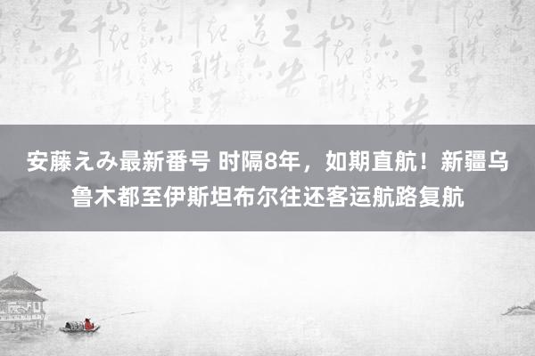   安藤えみ最新番号 时隔8年，如期直航！新疆乌鲁木都至伊斯坦布尔往还客运航路复航