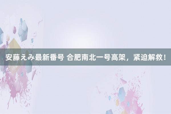   安藤えみ最新番号 合肥南北一号高架，紧迫解救！