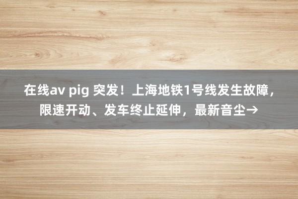   在线av pig 突发！上海地铁1号线发生故障，限速开动、发车终止延伸，最新音尘→