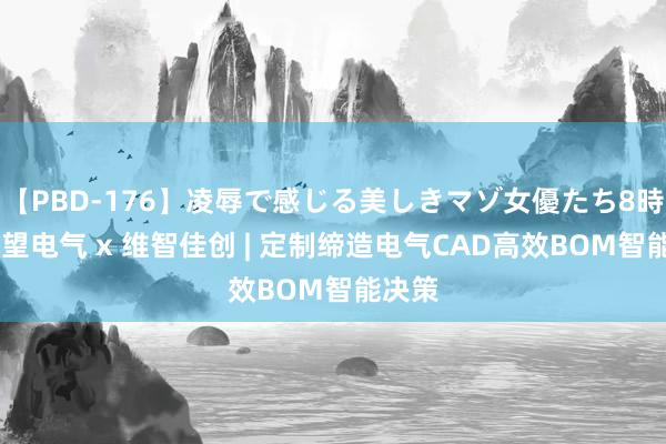   【PBD-176】凌辱で感じる美しきマゾ女優たち8時間 禾望电气 x 维智佳创 | 定制缔造电气CAD高效BOM智能决策