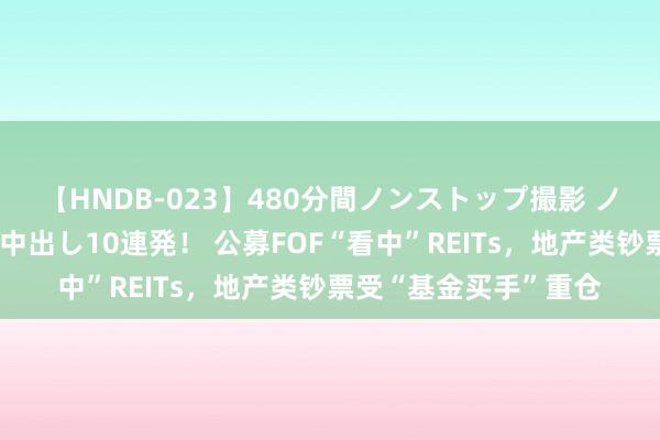   【HNDB-023】480分間ノンストップ撮影 ノーカット編集で本物中出し10連発！ 公募FOF“看中”REITs，地产类钞票受“基金买手”重仓