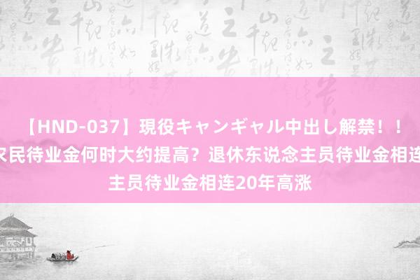   【HND-037】現役キャンギャル中出し解禁！！ ASUKA 农民待业金何时大约提高？退休东说念主员待业金相连20年高涨