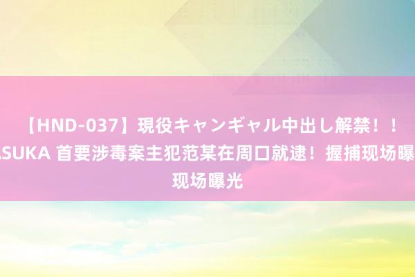   【HND-037】現役キャンギャル中出し解禁！！ ASUKA 首要涉毒案主犯范某在周口就逮！握捕现场曝光