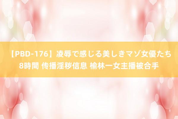   【PBD-176】凌辱で感じる美しきマゾ女優たち8時間 传播淫秽信息 榆林一女主播被合手