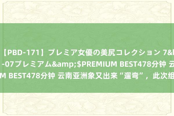 【PBD-171】プレミア女優の美尻コレクション 7</a>2012-11-07プレミアム&$PREMIUM BEST478分钟 云南亚洲象又出来“遛弯”，此次组了个大团！