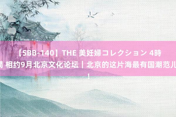 【SBB-140】THE 美妊婦コレクション 4時間 相约9月北京文化论坛｜北京的这片海最有国潮范儿！