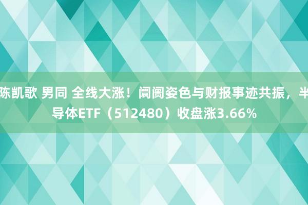   陈凯歌 男同 全线大涨！阛阓姿色与财报事迹共振，半导体ETF（512480）收盘涨3.66%