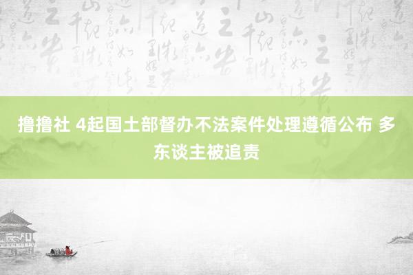   撸撸社 4起国土部督办不法案件处理遵循公布 多东谈主被追责